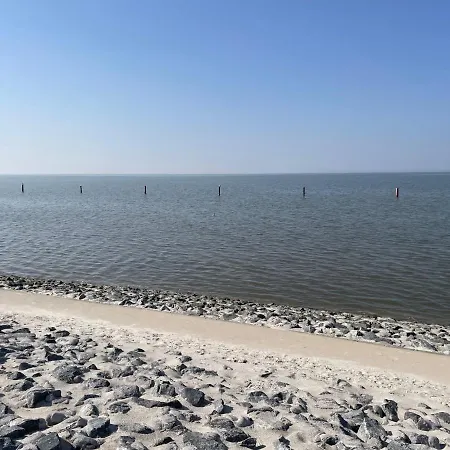 Dehne-3 By Interhome Appartement