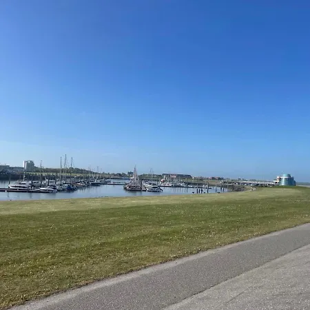 Dehne.3 *